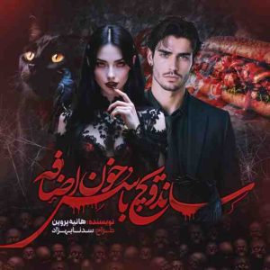 دانلود رمان ساندویچ با سس خون اضافه اثر هانیه پروین